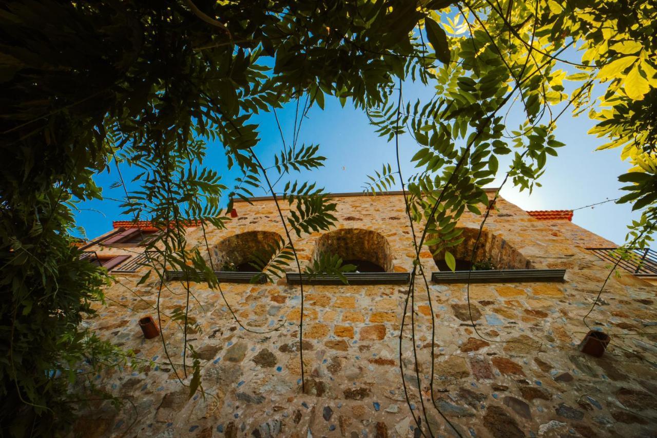 الشقق الفندقية كابريوليفي  Residenza Golfo Degli Ulivi المظهر الخارجي الصورة