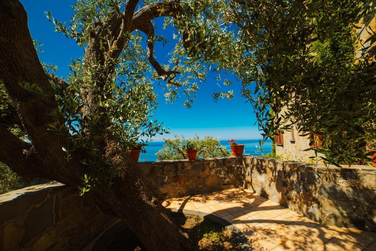الشقق الفندقية كابريوليفي  Residenza Golfo Degli Ulivi المظهر الخارجي الصورة